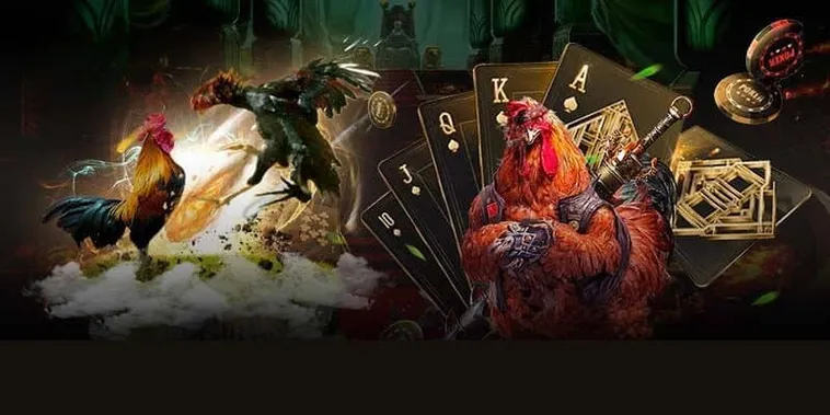 Hướng Dẫn Cách Chơi Đá Gà GA28 Tại AE6789 Cho Người Mới 1 Hướng Dẫn Cách Chơi Đá Gà GA28 Tại AE6789 Cho Người Mới